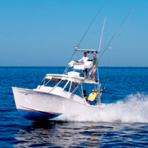 gamefisher_2 gamefisher_2