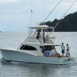 sea_fly sea_fly