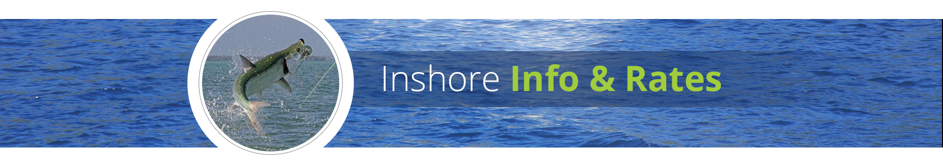 Inshore Info & Rates