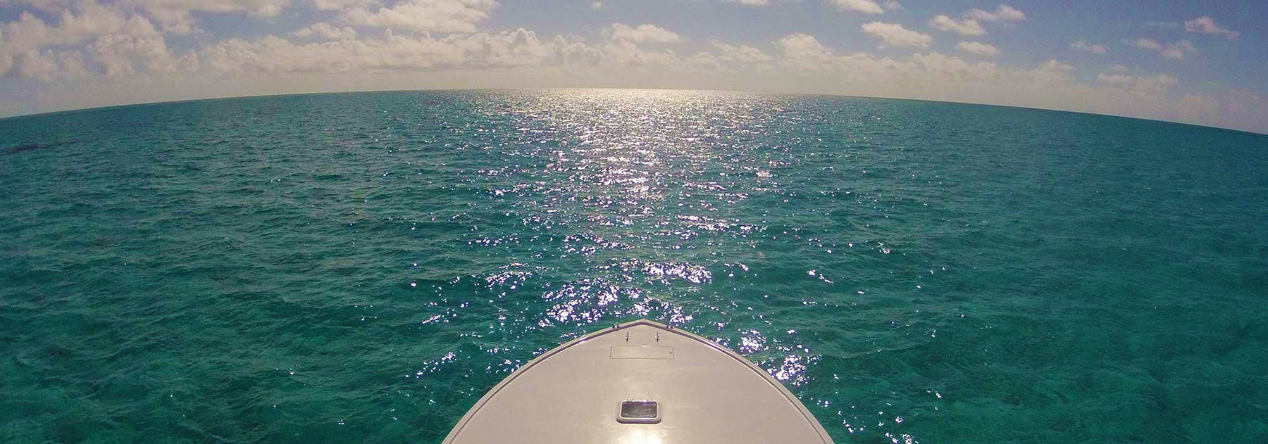 Boat Captains For Hire Tampa Boat Detailing Clearwater Boat Design