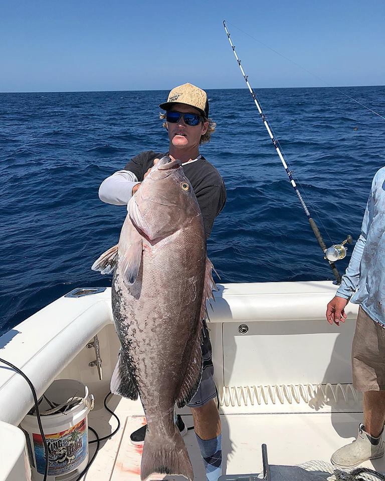Gag Grouper