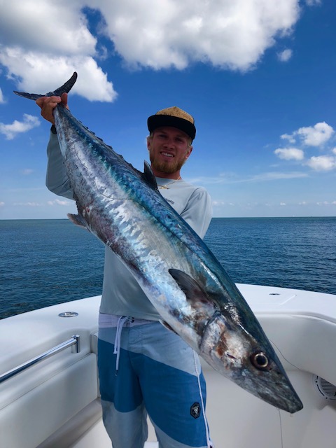 Smoker King Mackerel Making a Showing in Tampa Bay