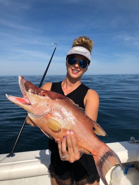 How to catch Hogfish in the Gulf of Mexico