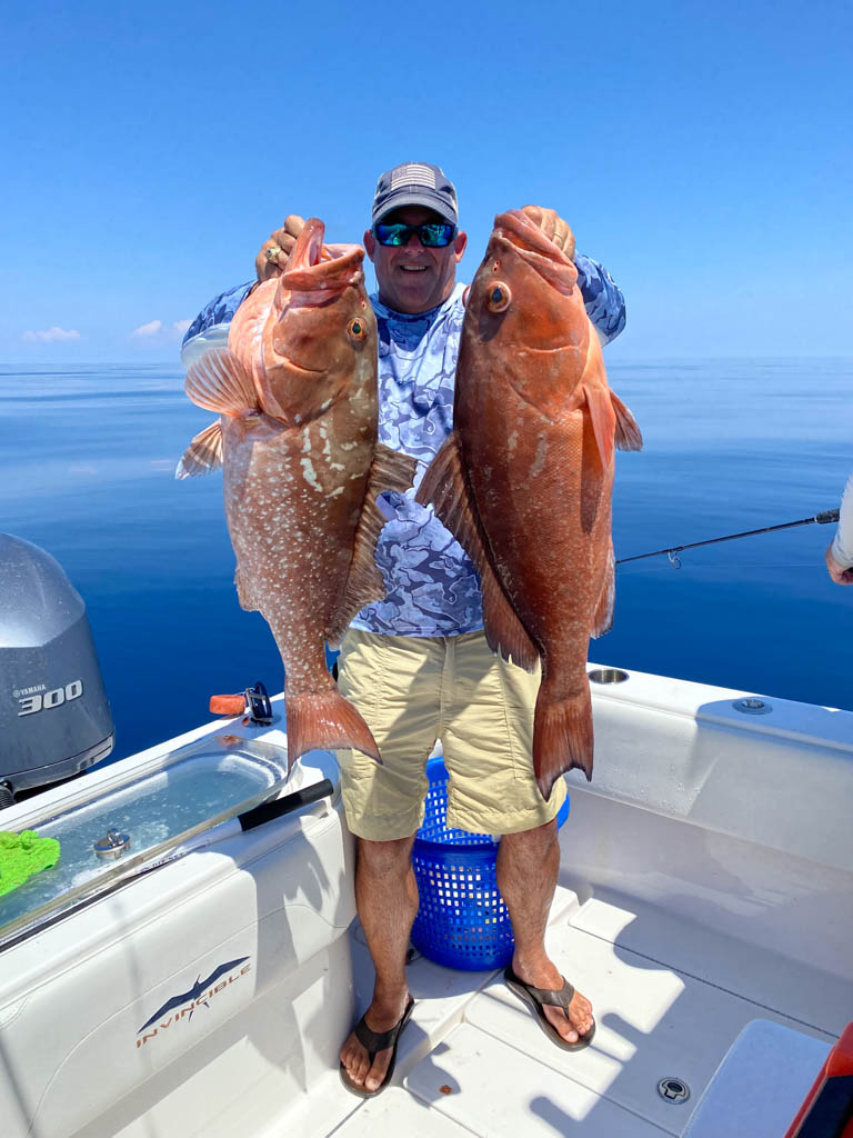 yachtfish fishing charters