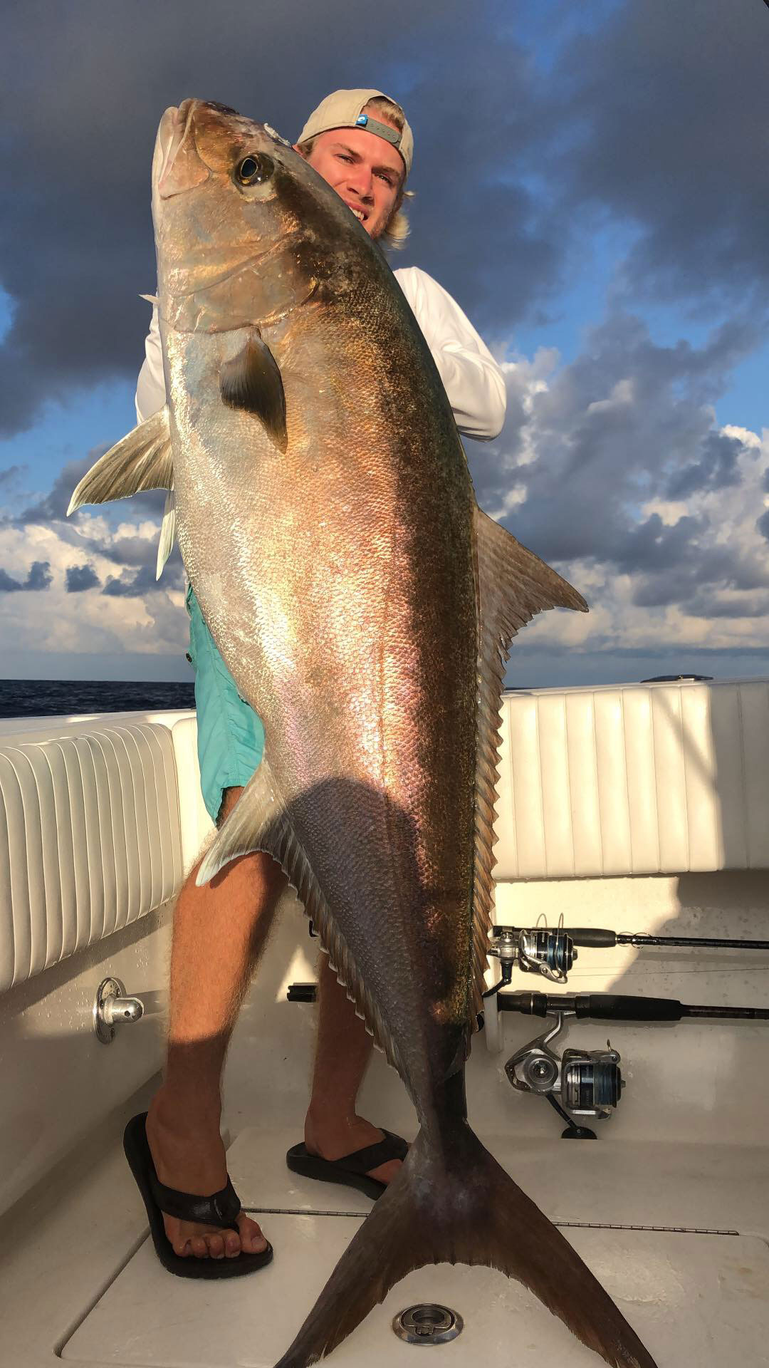 Amberjack St Pete Beach