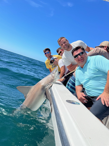 Why Is Shark Fishing in Florida So Popular Right Now?