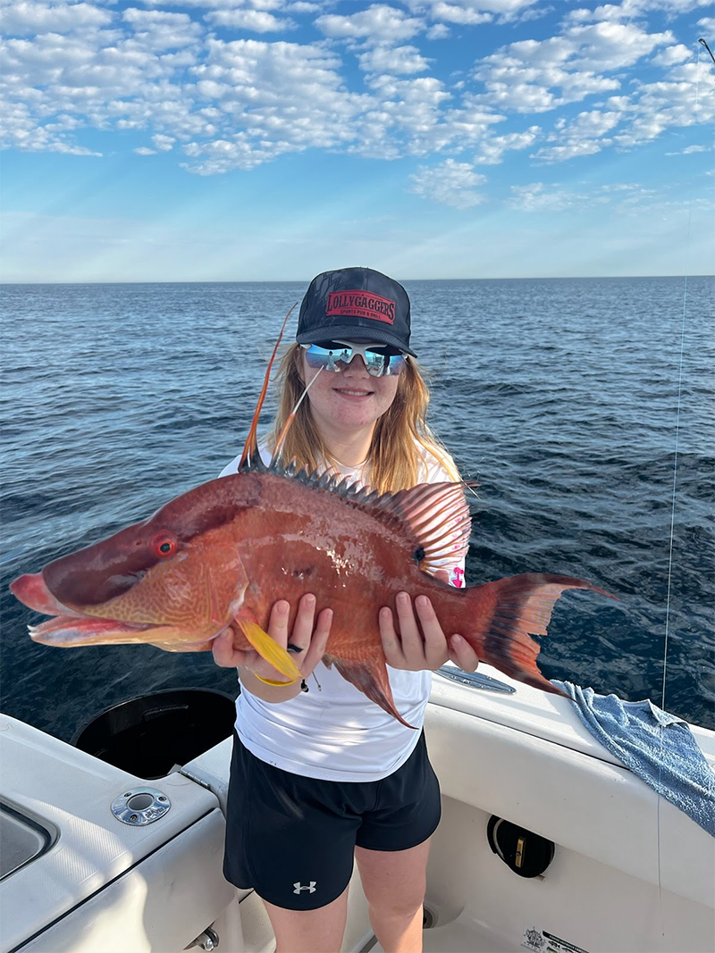 Why Is Shark Fishing in Florida So Popular Right Now?