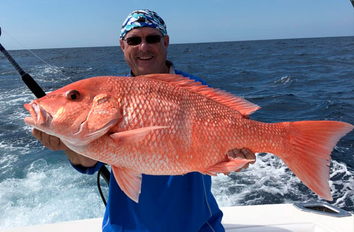 Red Snapper Season in St. Pete Beach Opens June 1st!