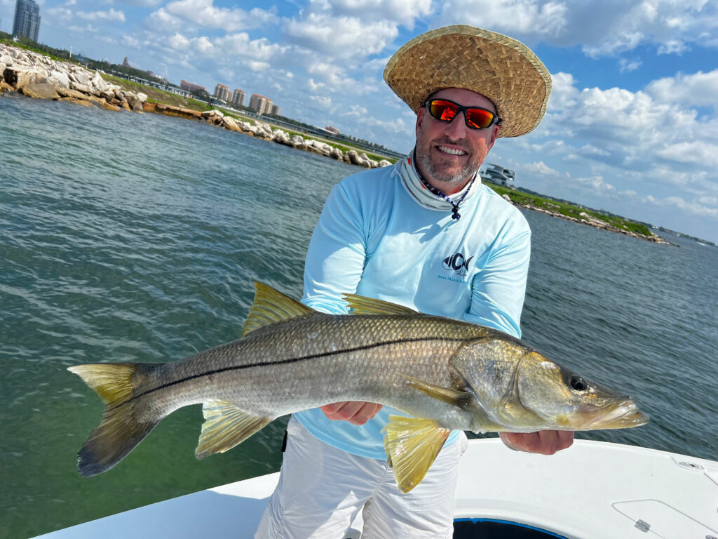 Clearwater Fl Fishing Charters Top