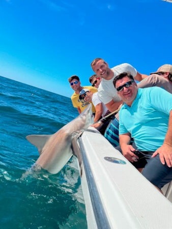 Your Complete 2024 Guide to Shark Fishing in St. Petersburg